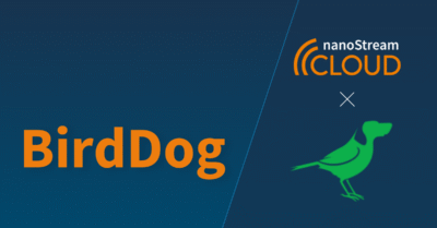 Thumbnail BirdDog Tutorial