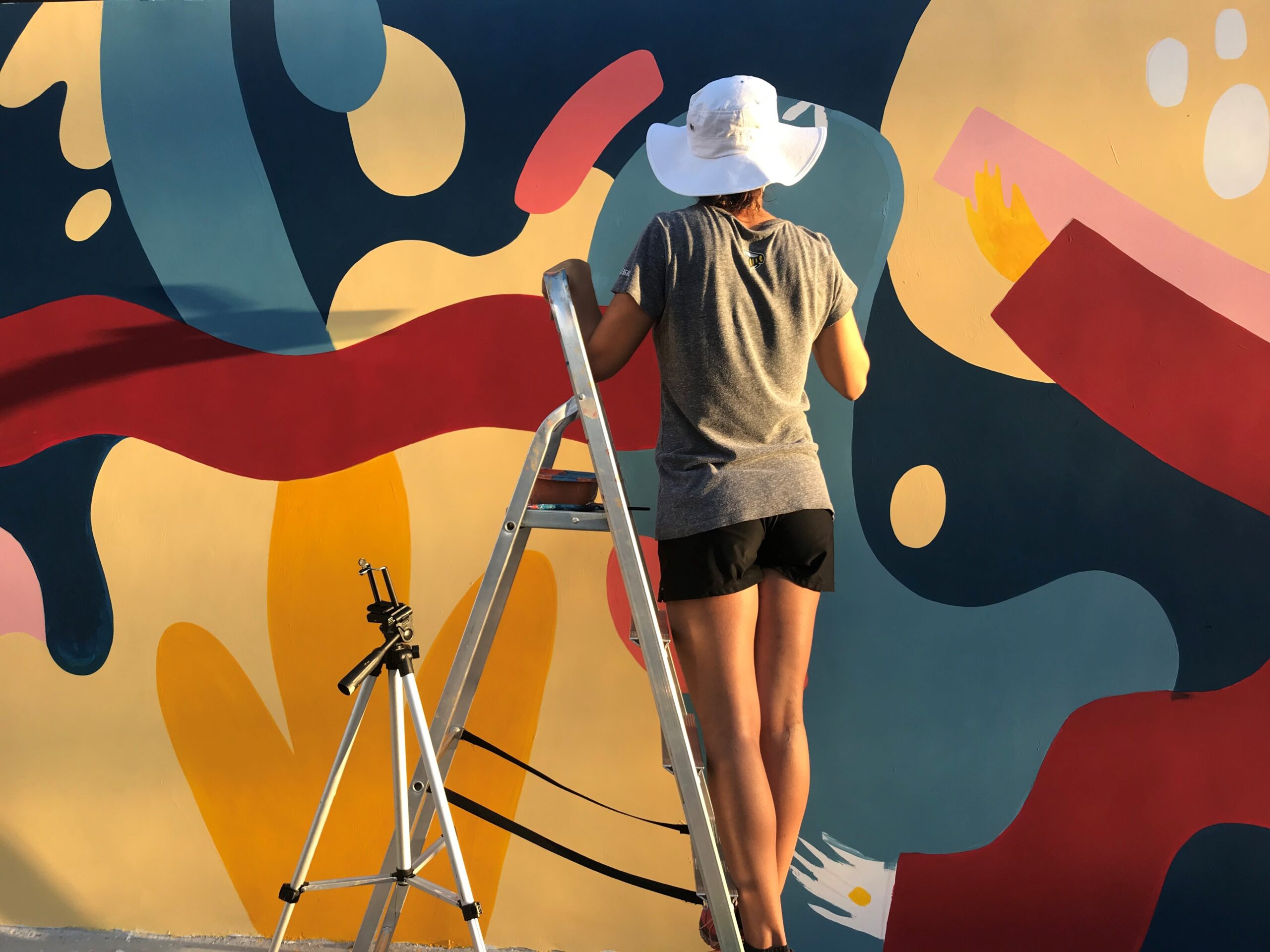 Copyright Land of Júlia, Mural in Brazil, Minas Gerais, 2020